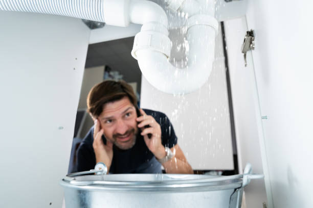Best Same-Day Plumbing Service  in Pagould, AR
