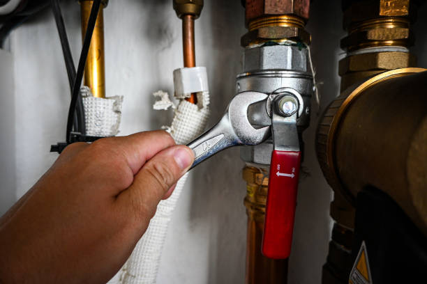 Best Commercial Plumbing Services  in Pagould, AR